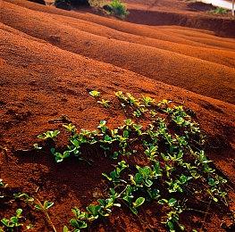 《传奇摔角手WrestleQuest》确定延期 8月22日登陆全平台